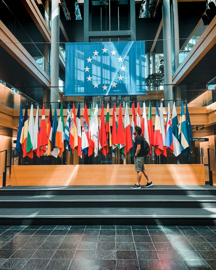 hero-img-02 Interior view of European Parliament with multiple national flags and a person observing.